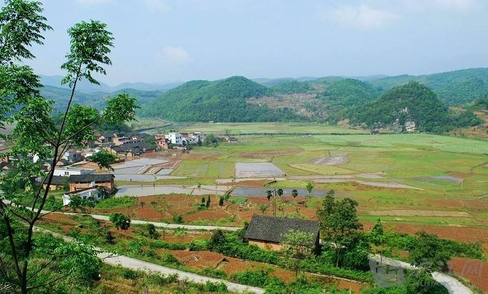 農業品牌，鄉村品牌建設，鄉村產業正在廣袤農村蓬勃興起