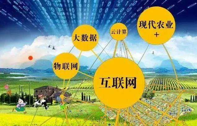 農業商業模式有哪些_農業商業模式創新