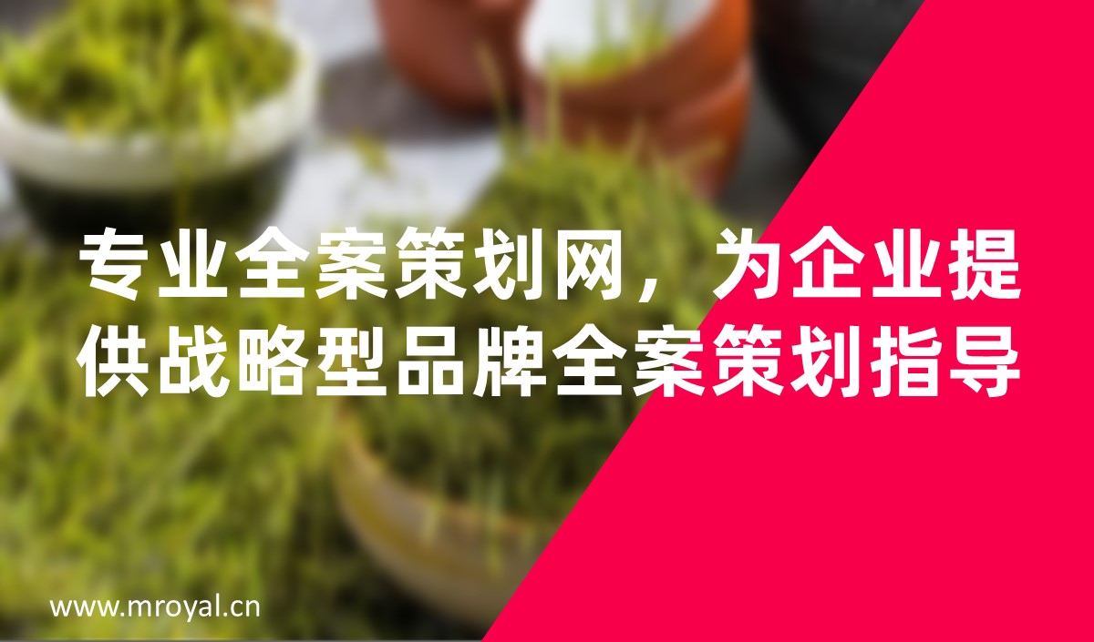 專業全案策劃網，為企業提供戰略型品牌全案策劃指導