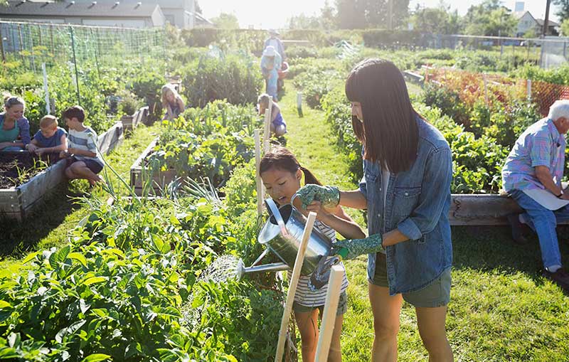 都市品牌農業越來越受消費者青睞_品牌農業