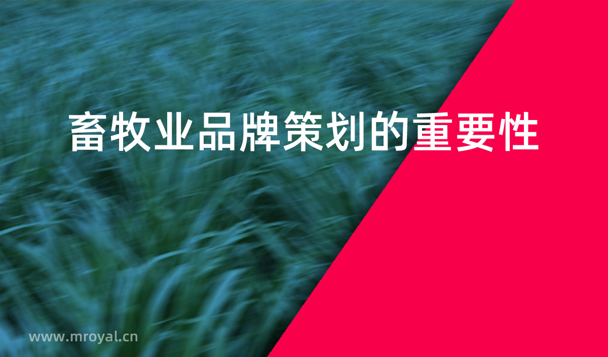 畜牧業品牌策劃的重要性，畜牧業品牌化是提高市場占有率重要手段