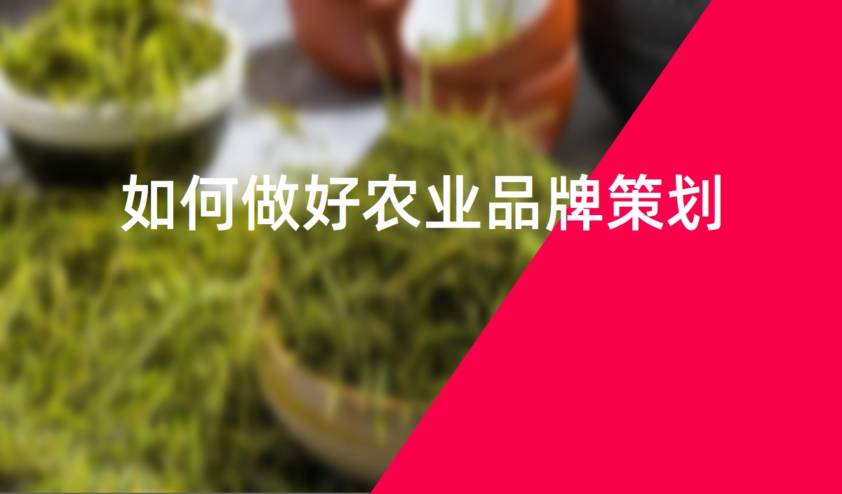 如何做好農業品牌策劃