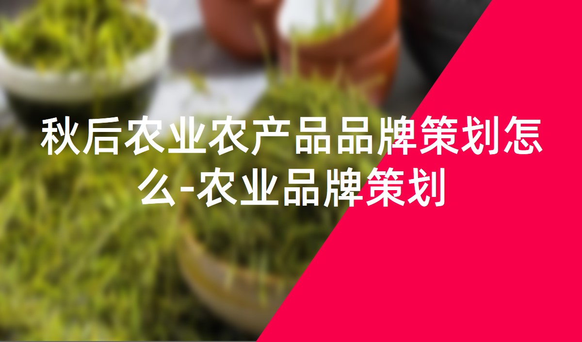 秋后農業農產品品牌策劃怎么-農業品牌策劃