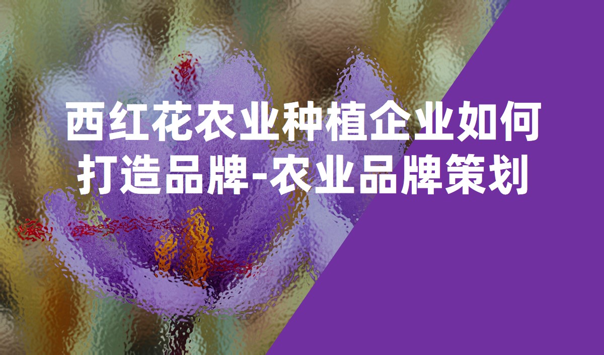 西紅花農業種植企業如何打造品牌-農業品牌策劃
