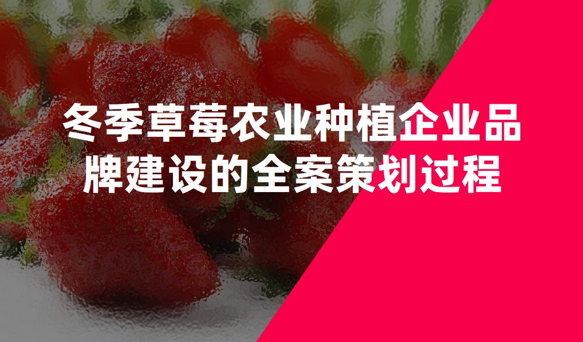 冬季草莓農業種植企業品牌建設的全案策劃過程