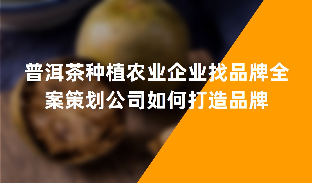 普洱茶種植農業企業找品牌全案策劃公司如何打造品牌