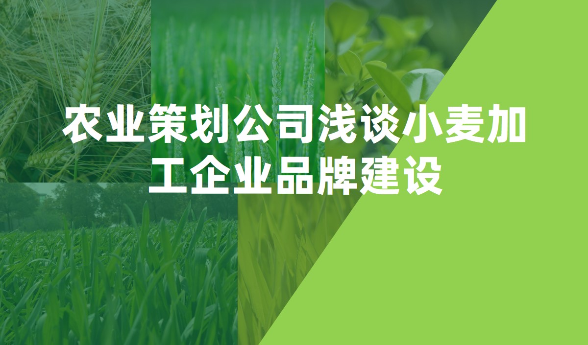 農業策劃公司淺談小麥加工企業品牌建設